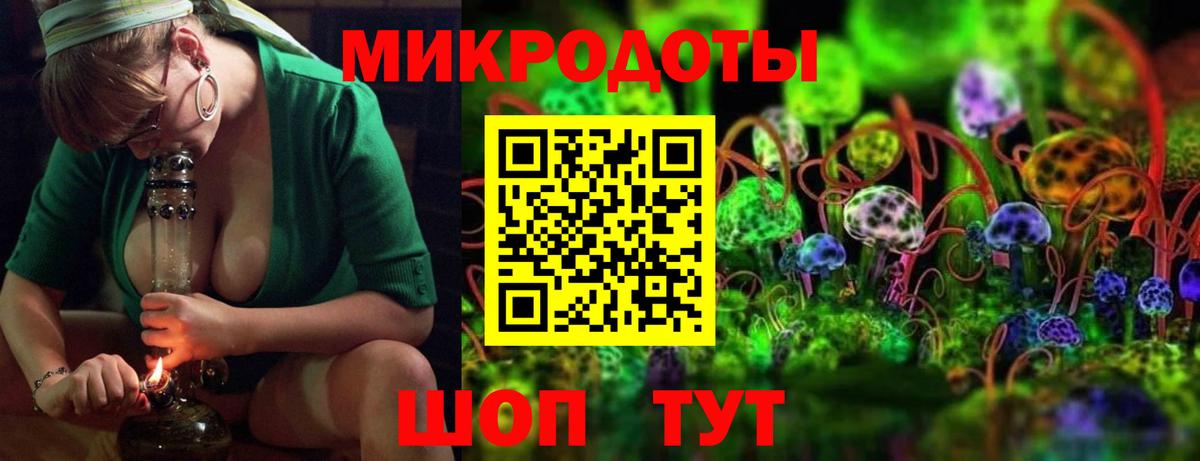 Псилоцибиновые грибы прущие грибы Кемерово